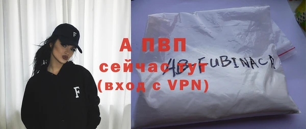 стафф Михайлов