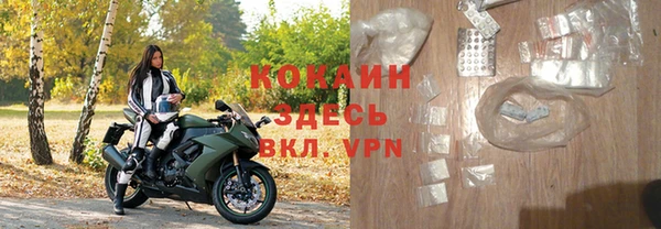 стафф Михайлов