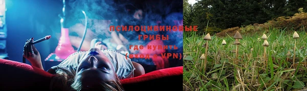 не бодяженный Аркадак